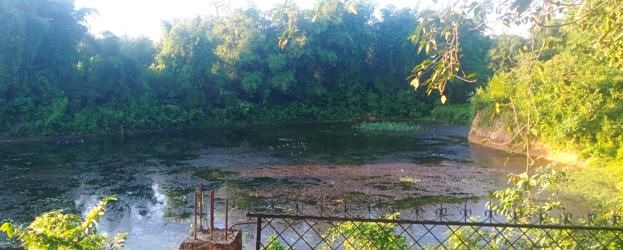 थान पोखरी